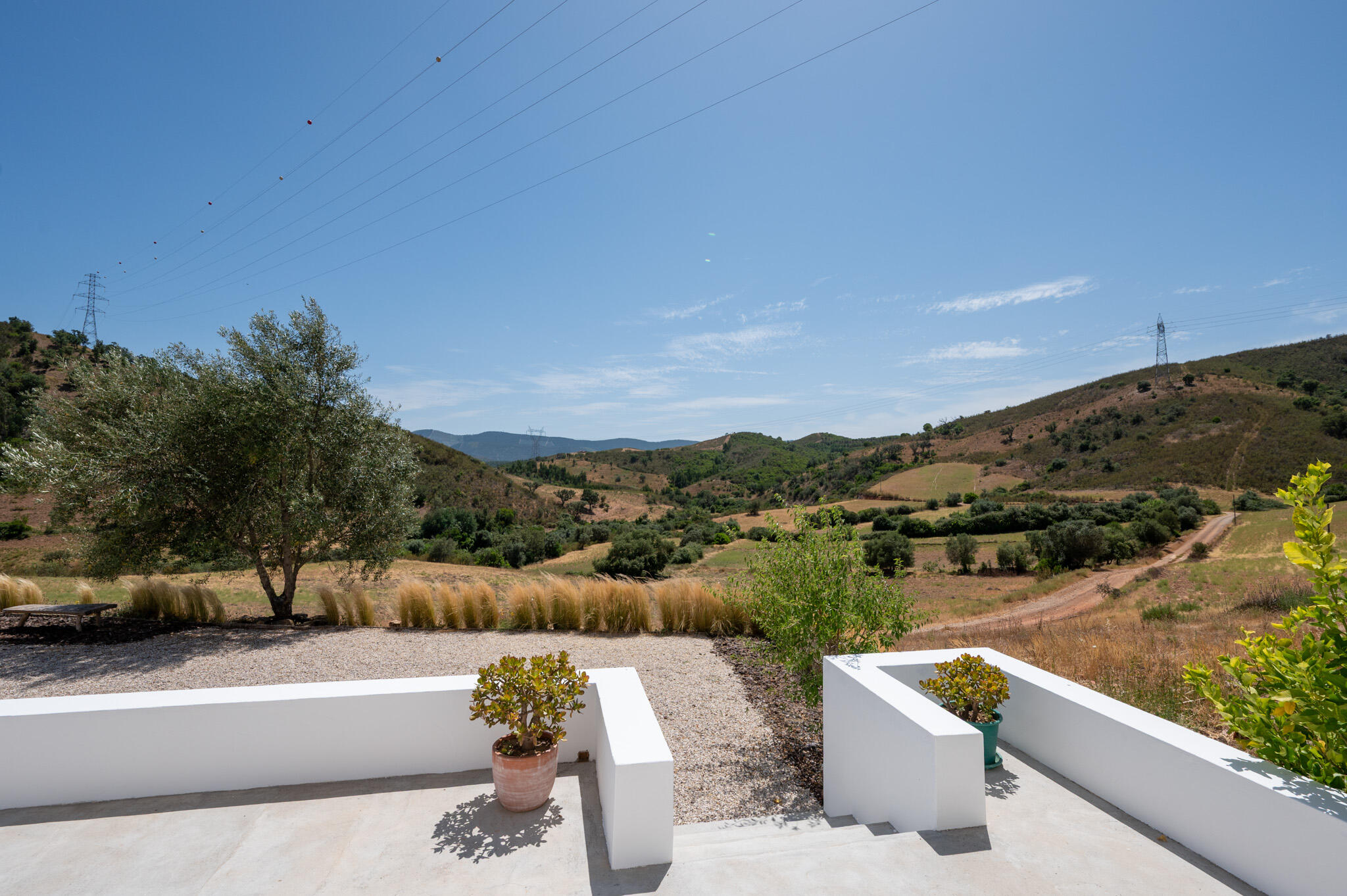 Simple moments in nature, at their own pace.